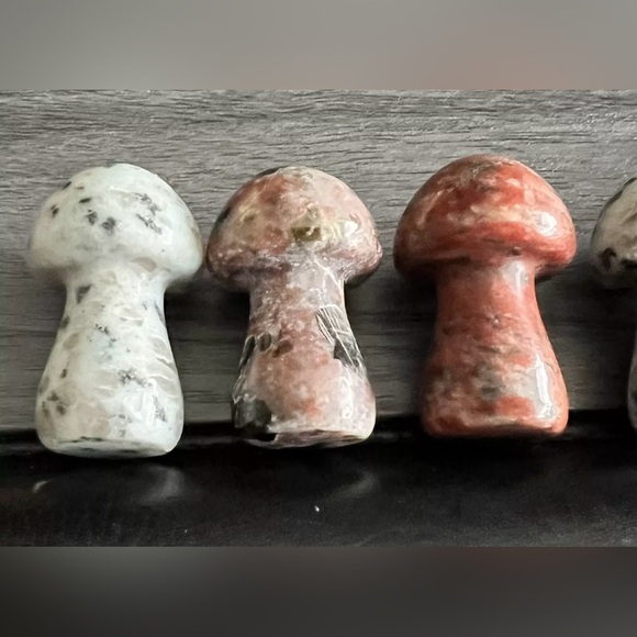 6 Misc Agate Small Mushroom Crystal Carving Healing / Emotional Balance 1.25” - Picture 2 of 3